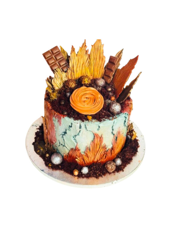 Rustic Chocolate Explosion Cake Elegant Party Cake FabCakes UK